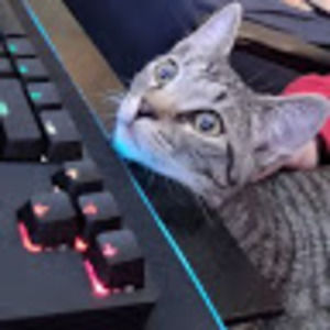 Meet your Posher, Isaiah